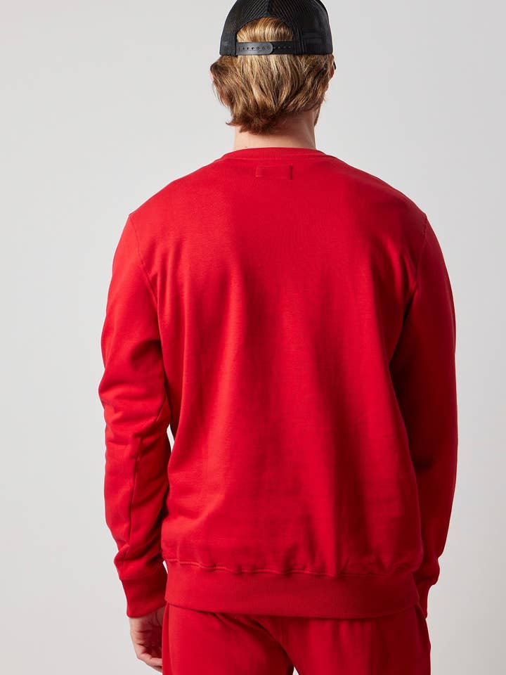 Brushed crewneck sweatshirt in certified organic cotton for wholesale by OWN OFF WITH NATURE
