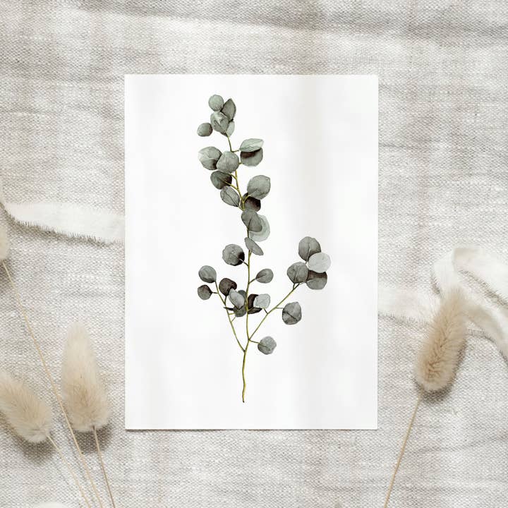 postcard - Eucalyptus for wholesale by Leo La Douce GmbH
