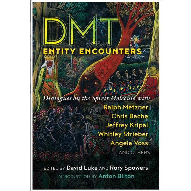 Microcosm Publishing & Distribution - Wholesale Book - Adult - DMT Entity Encounters: Dialogues on the Spirit Molecule