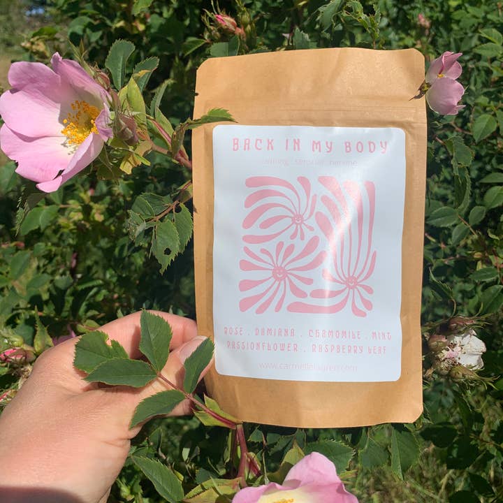 Zurück in meinem Körpertee für den Großhandel von Tend Everyday Herbals