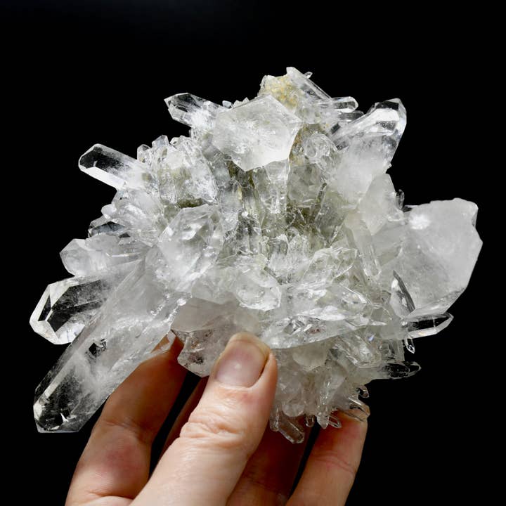 Caspar Curiosities - Wholesale Spiritual Stone/Crystal - 5.9in 1.3lb Cosmic Starburst Record Keeper Lemurian Silver Quartz Chlorite Crystal Cluster Starbrary Optical Corinto, Brazil4
