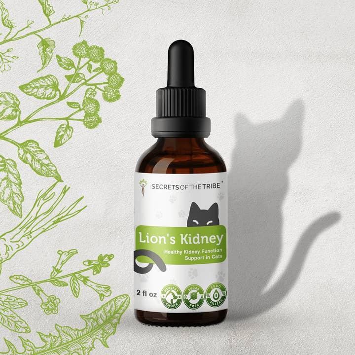 Lion's Kidney. Healthy Kidney Function Support in Cats for wholesale by Secrets Of The Tribe