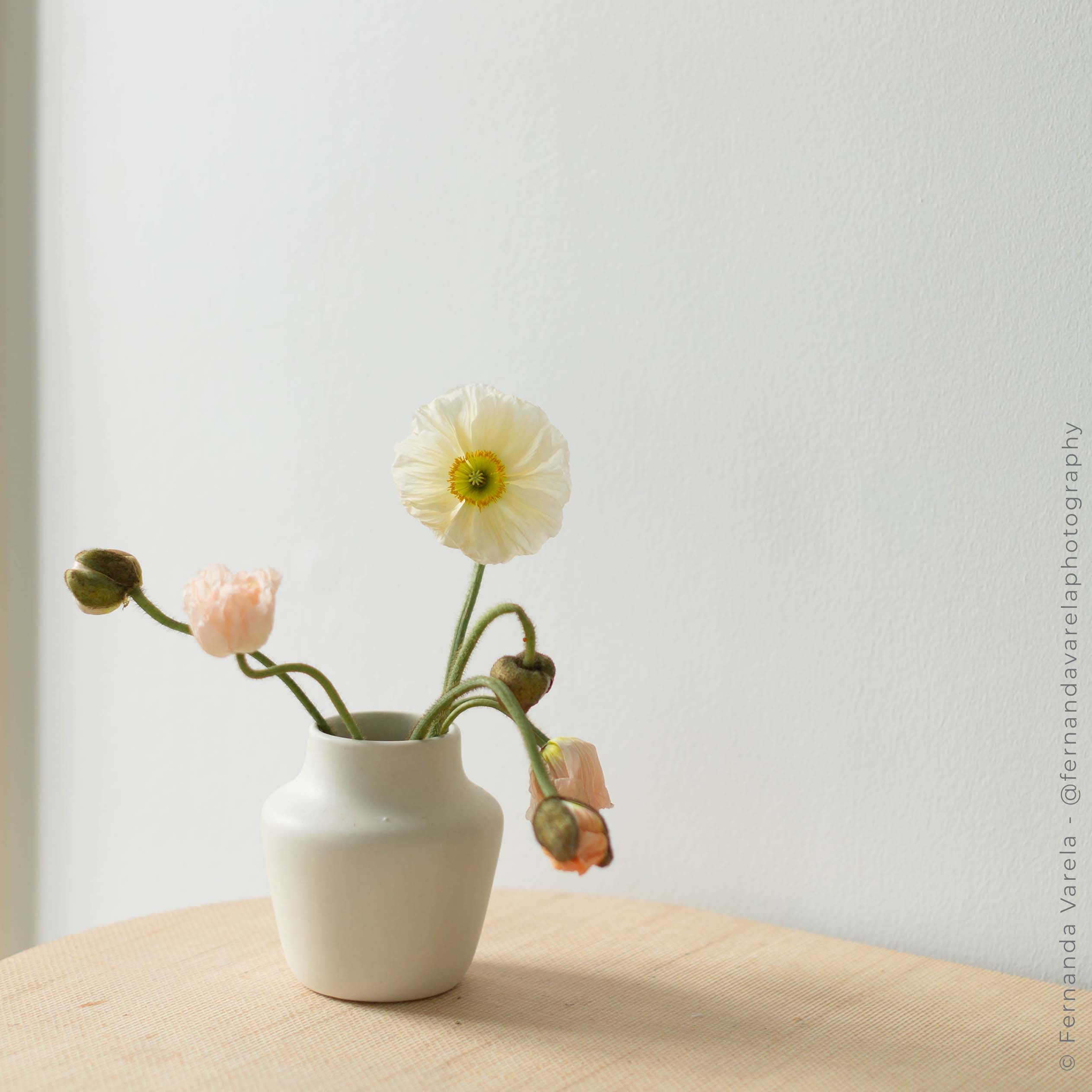 Bloomist - Vendita all'ingrosso Vasi - Vaso Ikebana13