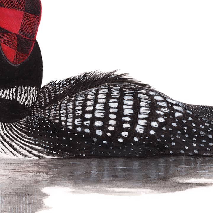 Birds with Hats - Wholesale Art Print - Print No.24 - "Common Loon with Flap Cap"2
