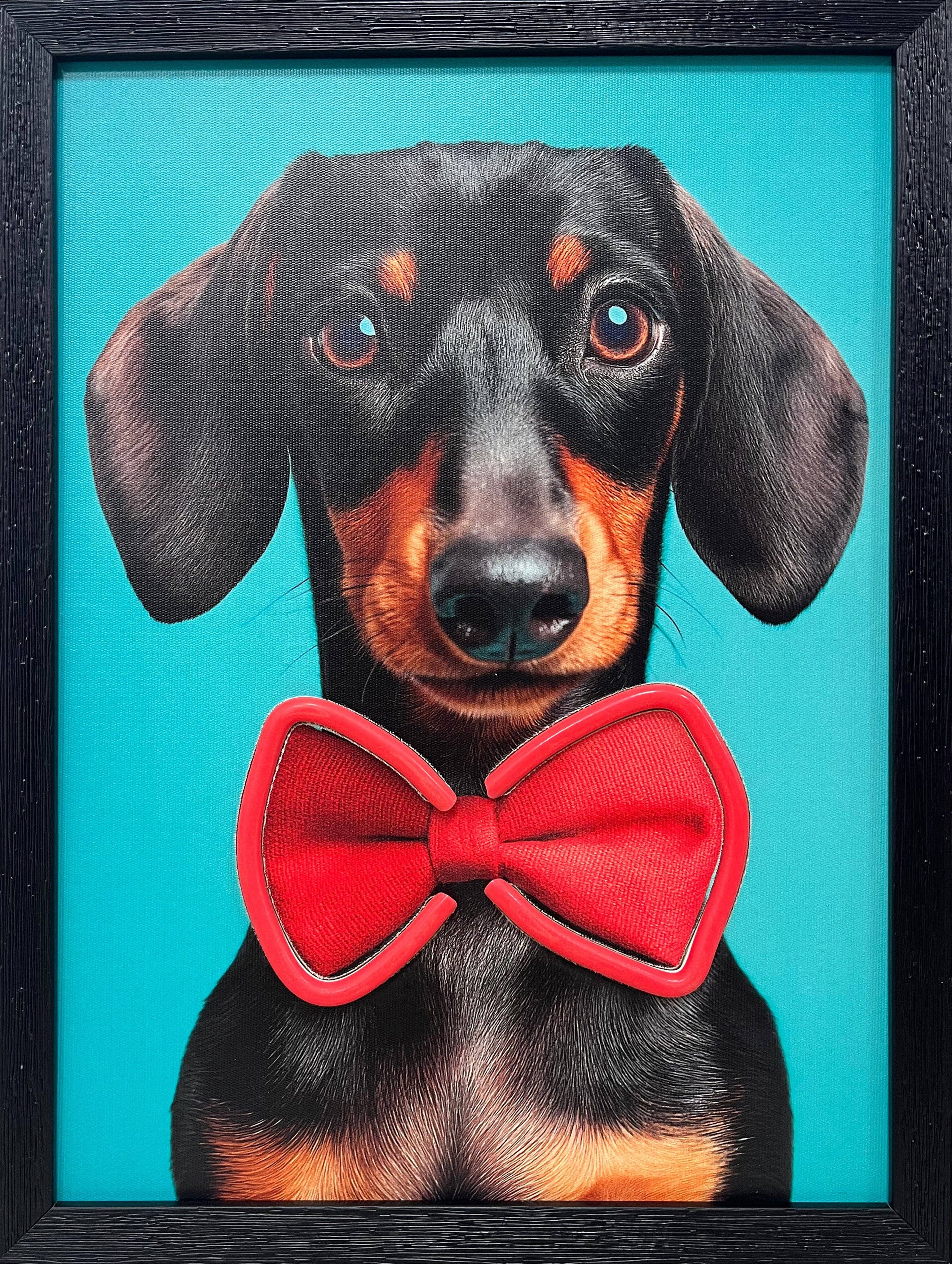 Amber Bright Creations – wholesale Neon sign – LED Neon Framed Wall Art – Daschund1