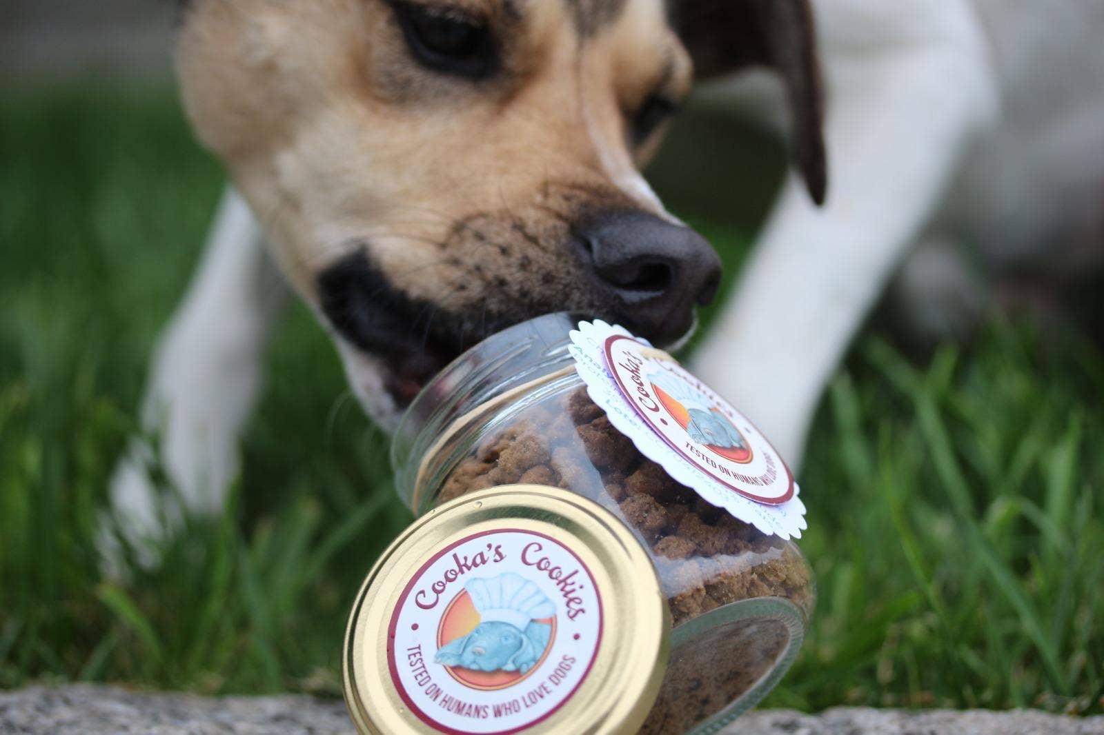 Cooka's Cookies - Wholesale Pet Treats - Dog - Chicken Crumble - Guilt-free treats for dogs & cats5