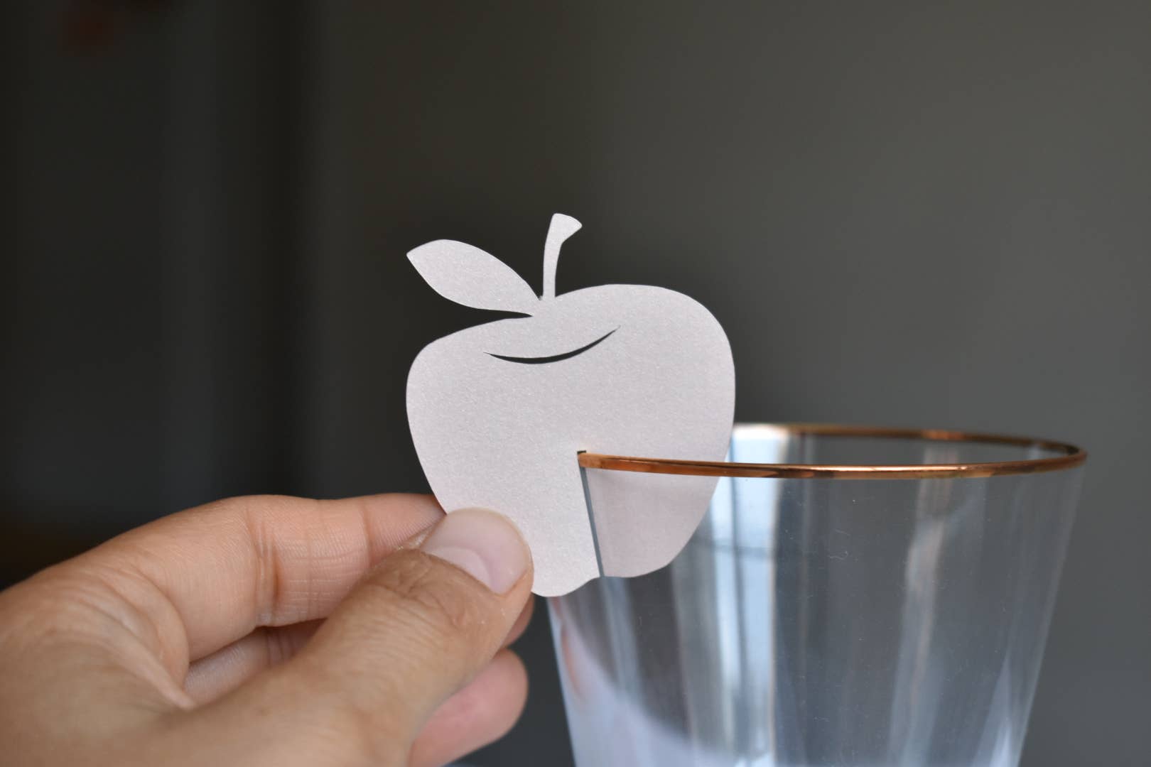 thekitcut - Wholesale Decal - Party Decorations - Rosh Hashanah apple glass decoration | Jewish holiday decor4