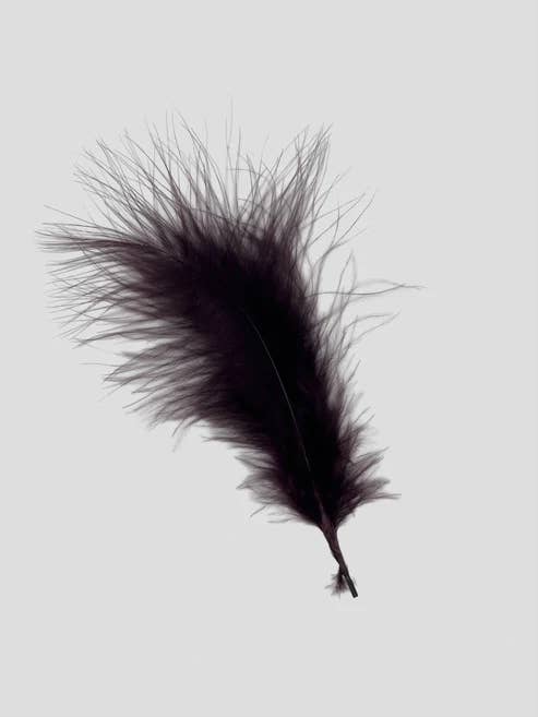 Marabou 12-15 cm Melanzana per la vendita all'ingrosso da parte di Enkels Feathers