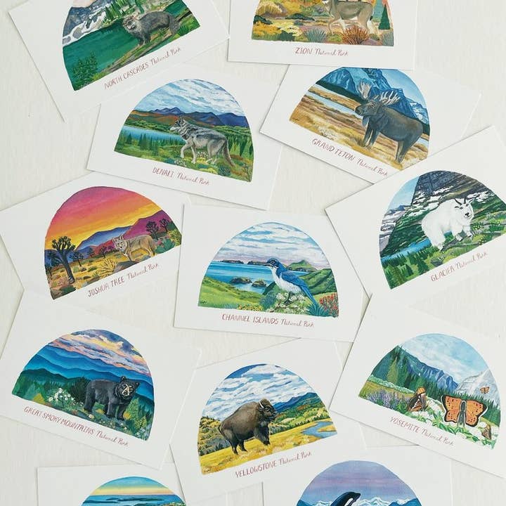Pack de cartes postales Les animaux des parcs nationaux pour la vente par Erin Vaughan Illustration