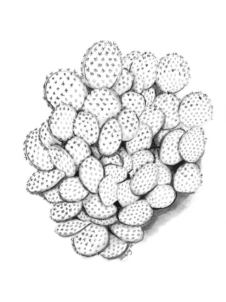 Stikkende kunsttryk af Katie Sevigny for engroshandel hos Sevigny Studio