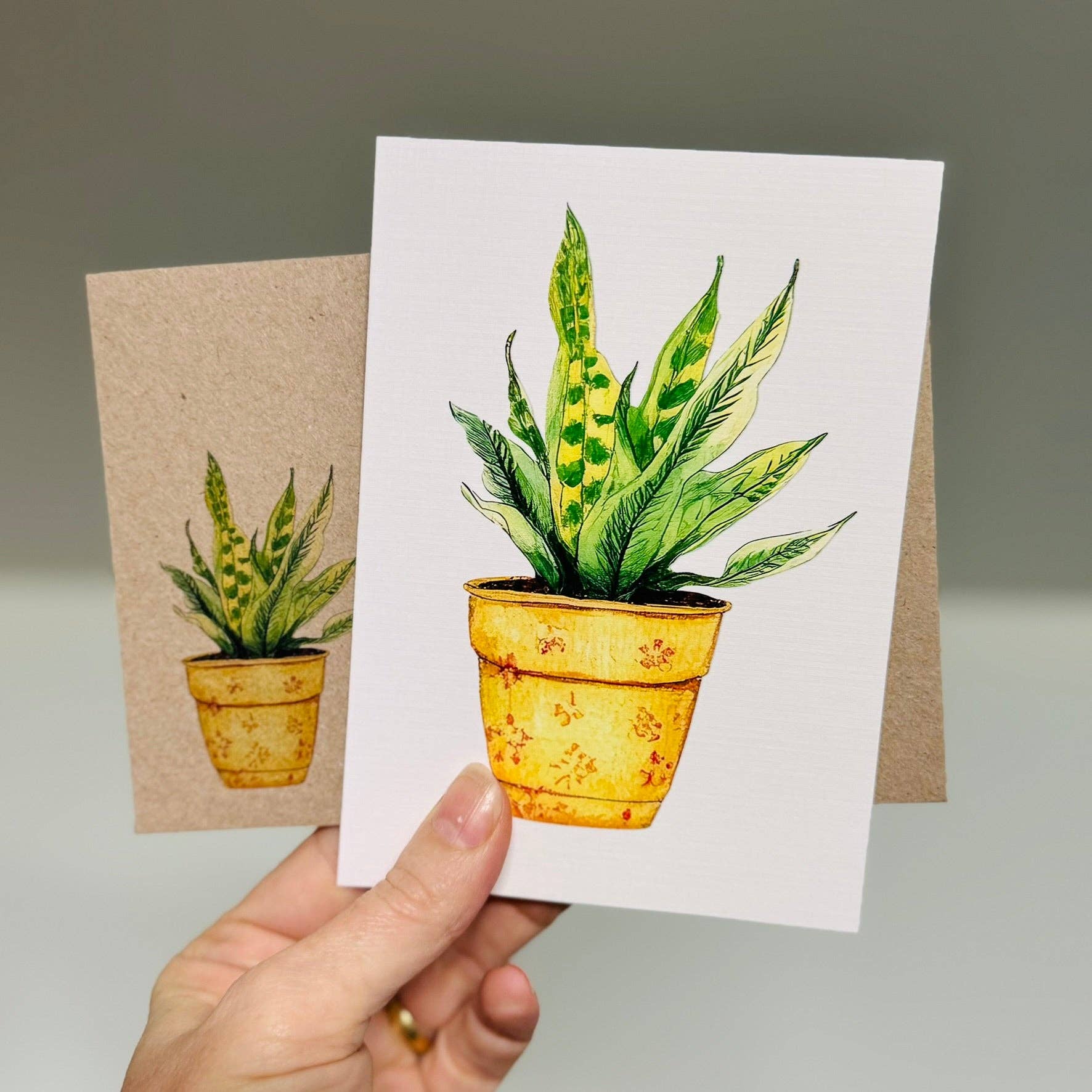 Scattered Seed Co - Wholesale Stationery/Notecard Set - SUCCULENTS whimsical greeting cards set of 42