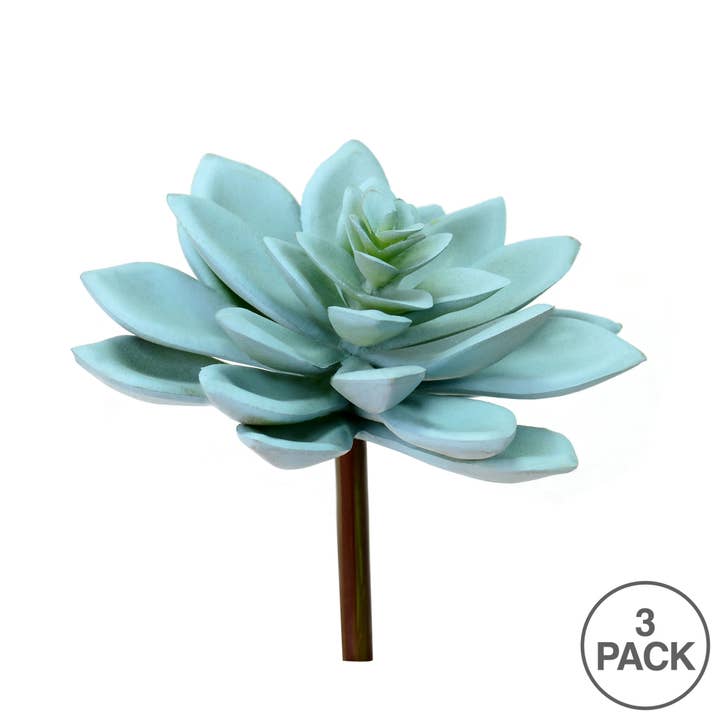 Green Vickerman 4.5" Grn Graptoveria Titubans Pick 3/pk for wholesale on Faire2