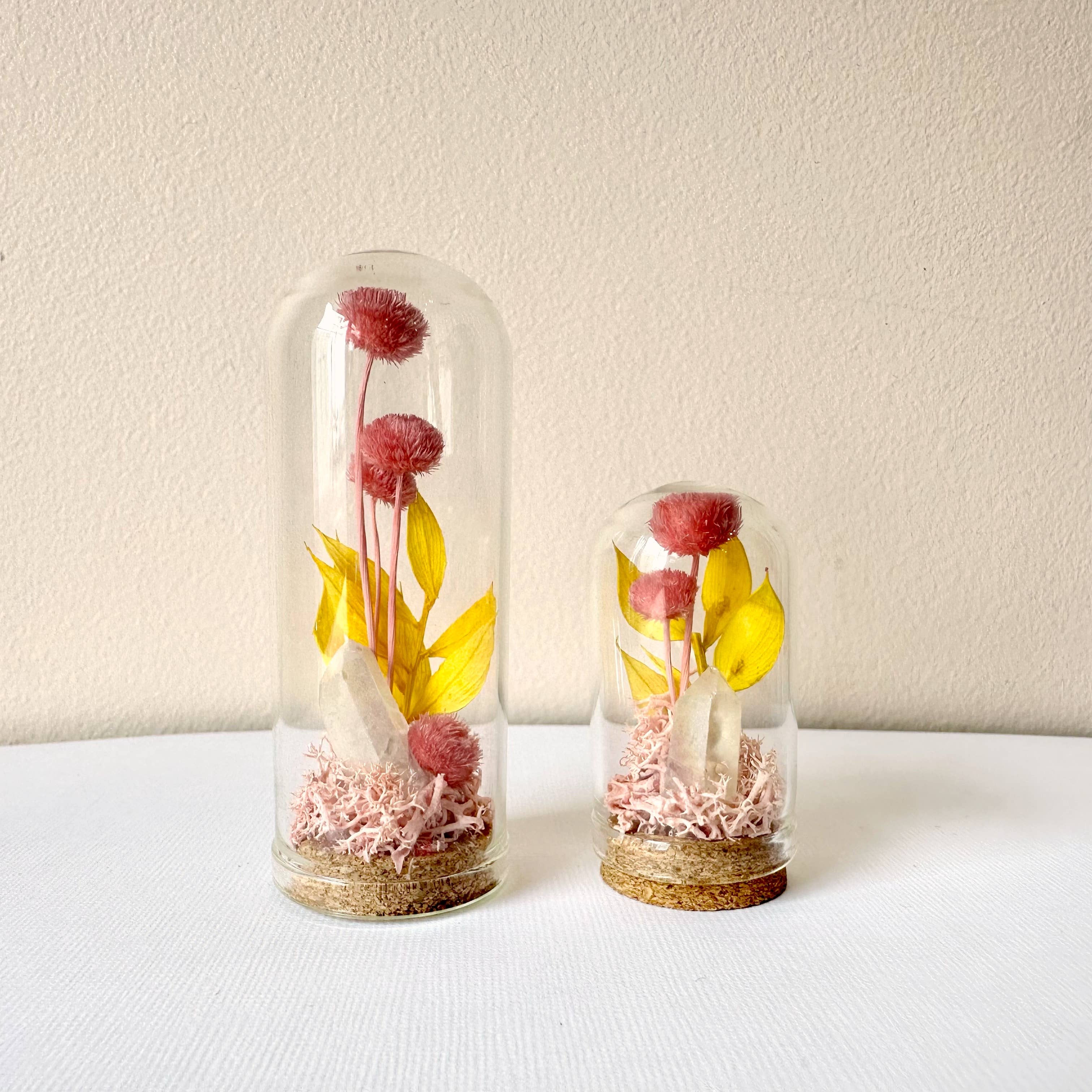 CA Studios - Wholesale Terrarium - Pink Crystal Fairy Garden Mini Glass Cloche Terrarium4