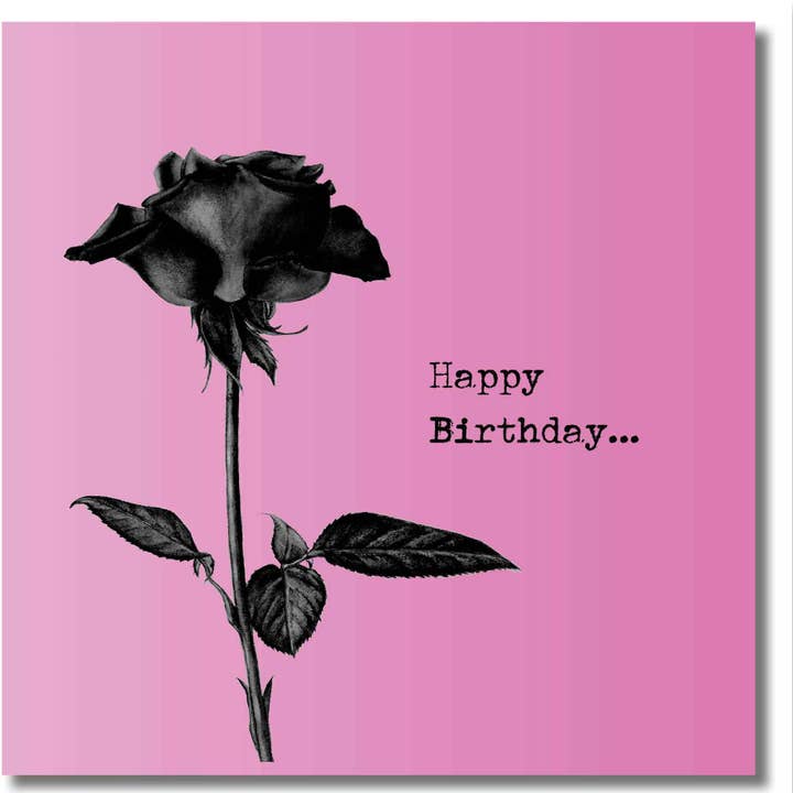 Birthday Greeting card - Black Rose Bright Pink for wholesale by Zaquarella