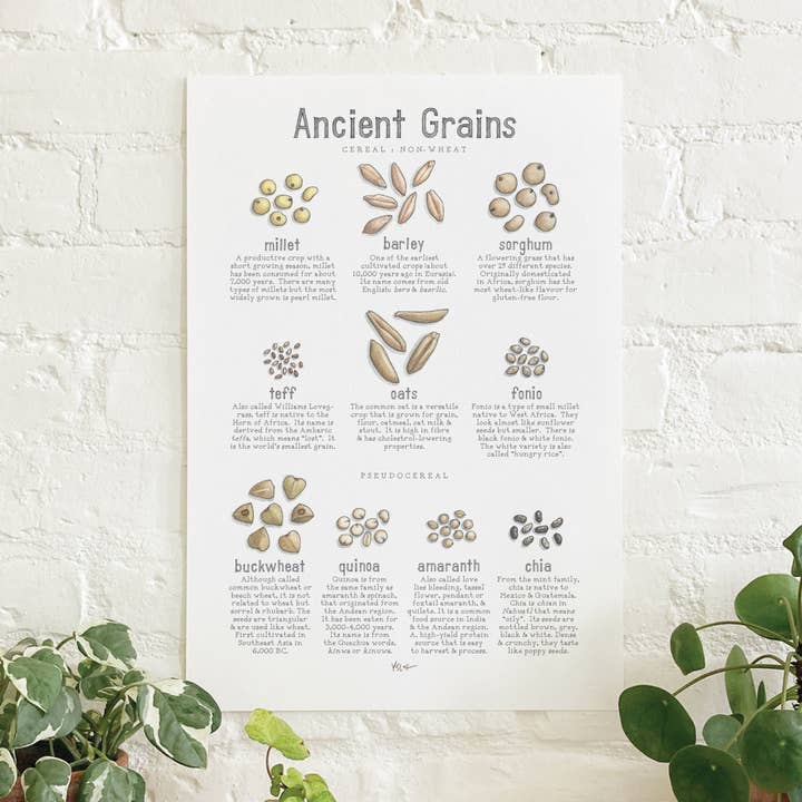 Poster / Ancient Grains . Non-Wheat & Pseudocereal for wholesale by Yeesan Loh