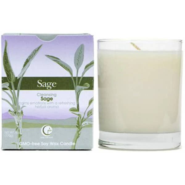 Gobelet en verre transparent sauge pour la vente par Way Out Wax