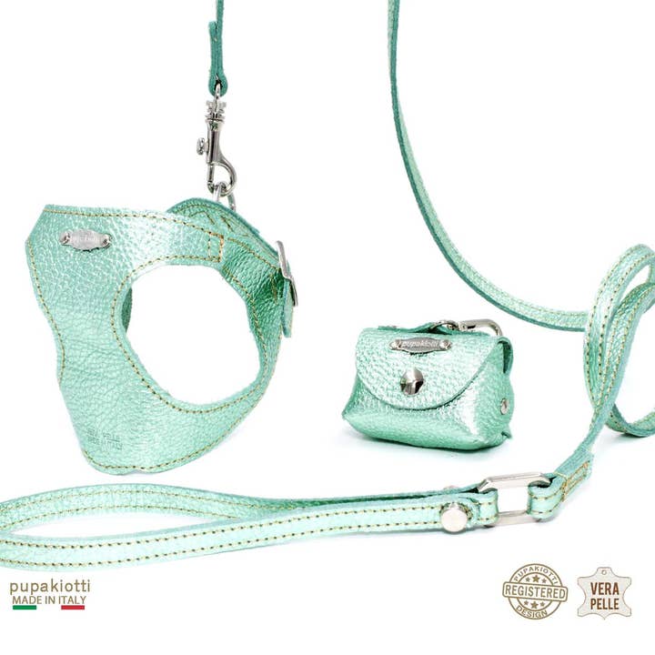Pupakiotti Pets, Brand in Italy Srl. - Wholesale Hondenriem - Hond - GLAM. 3-delige set tuig en riem met leren zakjeshouder voor honden2