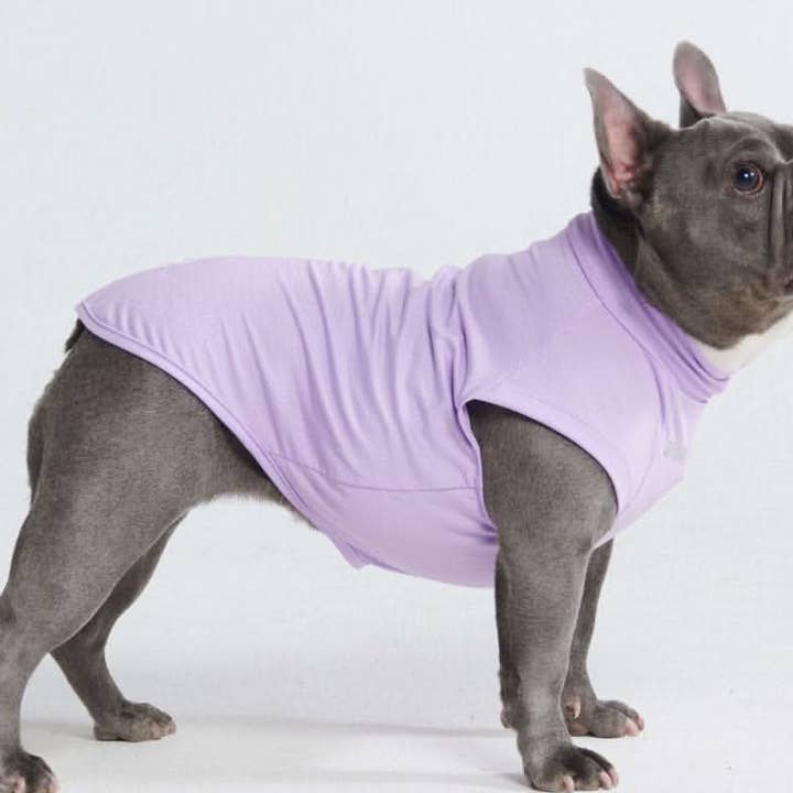 Sonnenschutz Hund T-Shirt - Lila für den Großhandel von Spark Paws