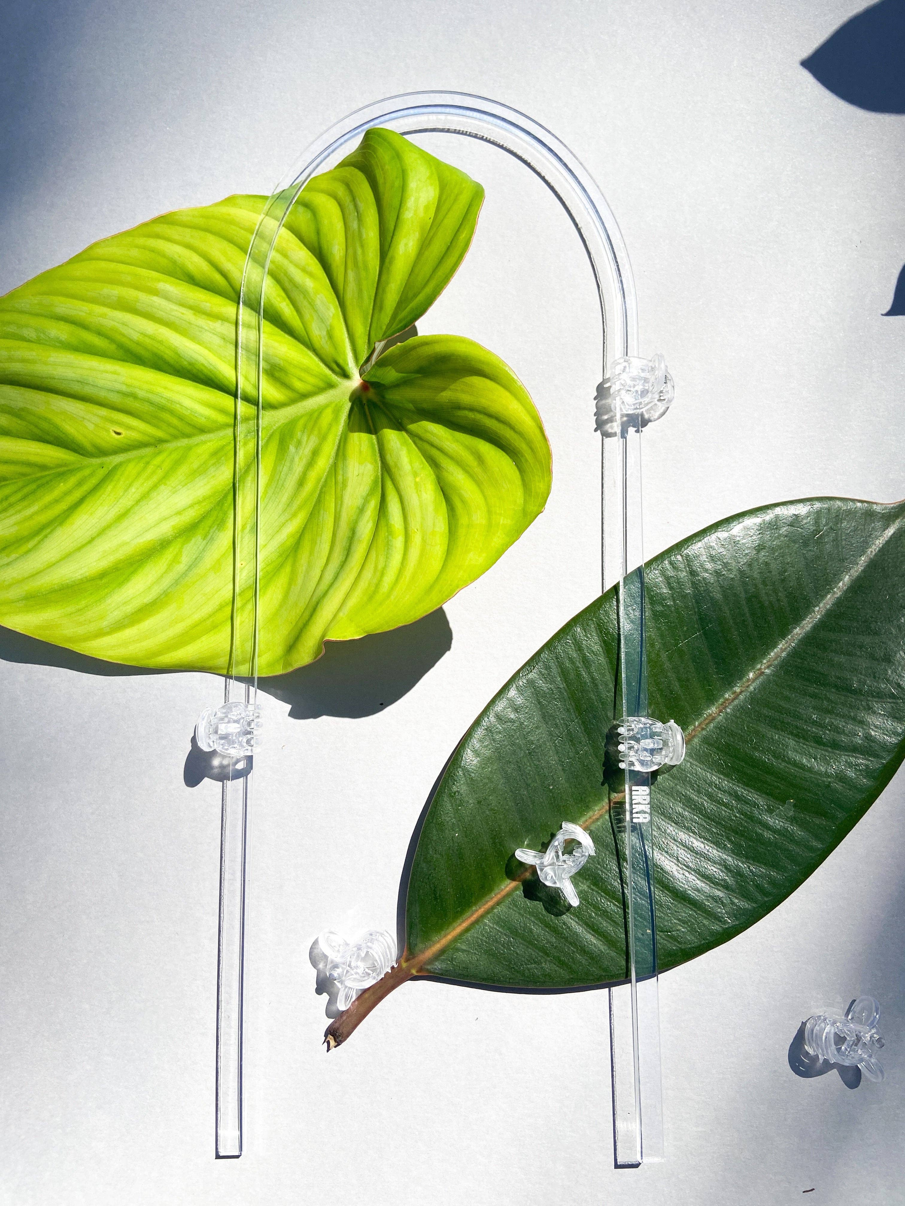 Propagation Diaries - Wholesale Garden Tool - Clear Plant Clips (Set of 50)2