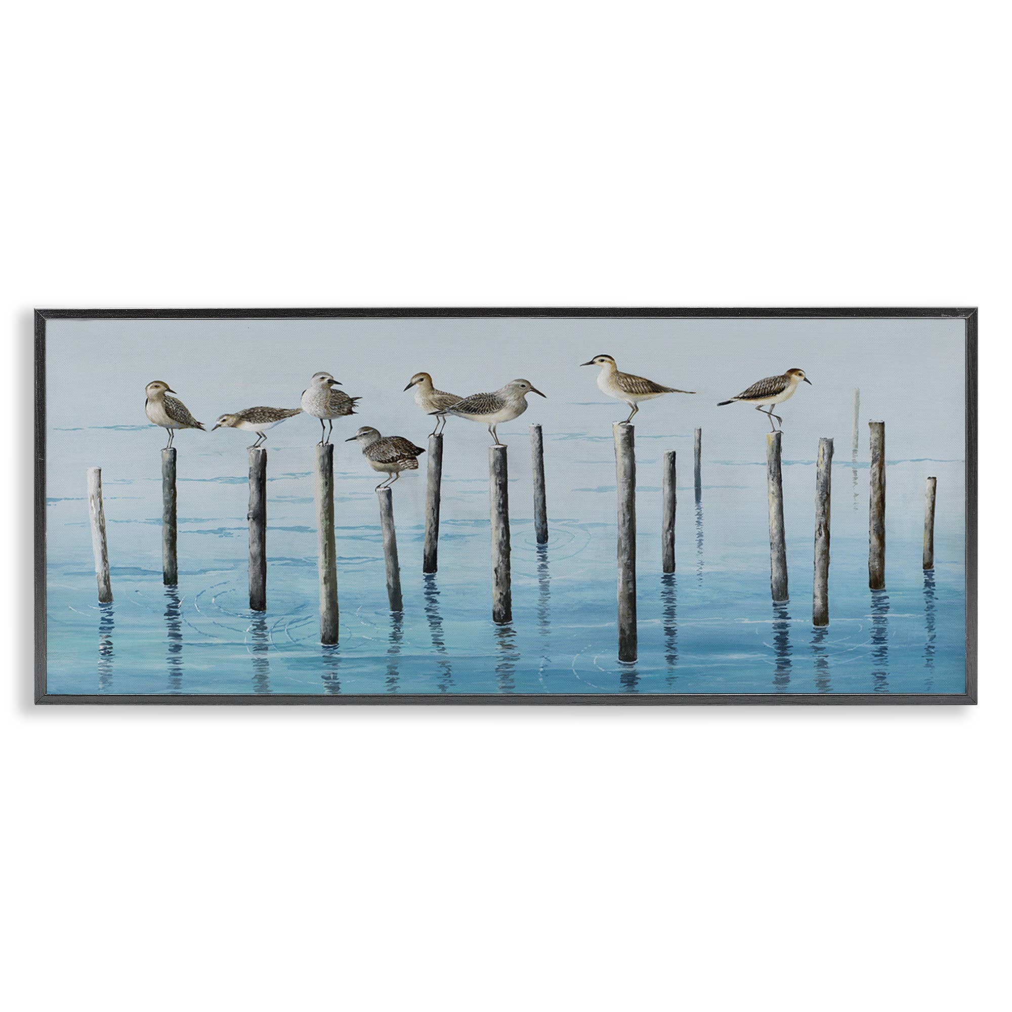 Stupell Industries - Wholesale Wall Sign - Perched Sea Birds - Framed Wall Art18