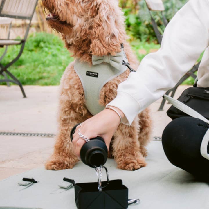 Cocopup London - Vendita all'ingrosso Ciotola - Cani e gatti - Ciotola da viaggio pieghevole - Nera4