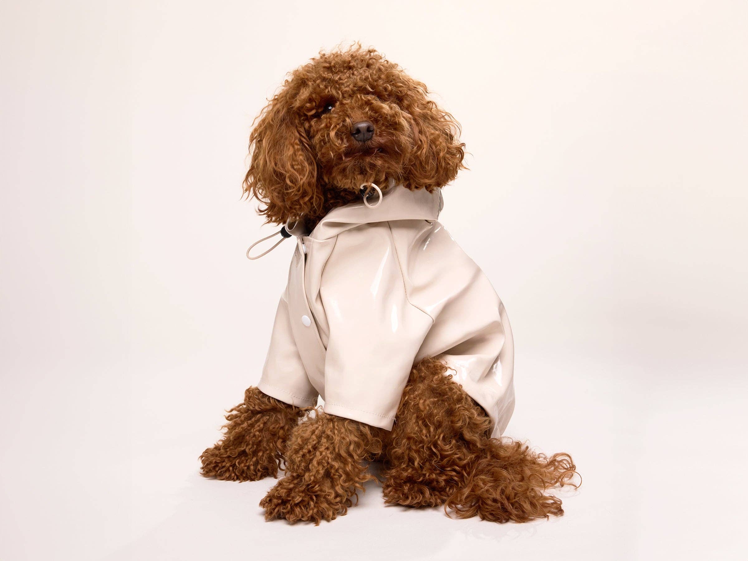 French Bandit - Wholesale Hondenregenjas - Hond - Crèmekleurige regenjas voor honden2