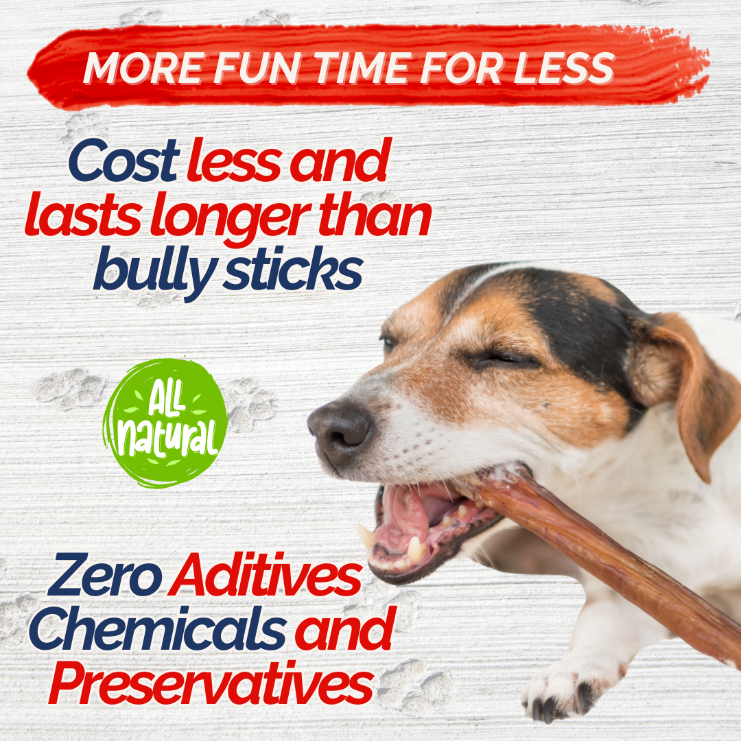 Fresh Farms Pet – Engroshandel Godbid - Hund – 50 stk. 30 cm kollagenstænger til hunde - lugtfri, langtidsholdbare, alternativ til bully sticks med chondroitin og glucosamin, naturlige og sikre, gavnlige for hofte, led, hud og pels2