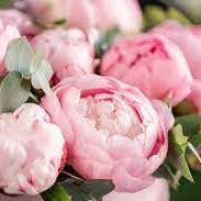 Hometown Candle Co. - Wholesale Jar/Filled Candle - Perfect Peony Candle