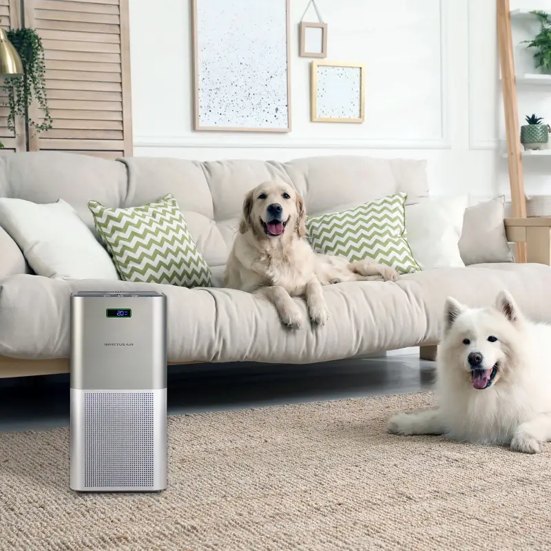 Genius GmbH - Wholesale Air Purifier - Invictus Air P71