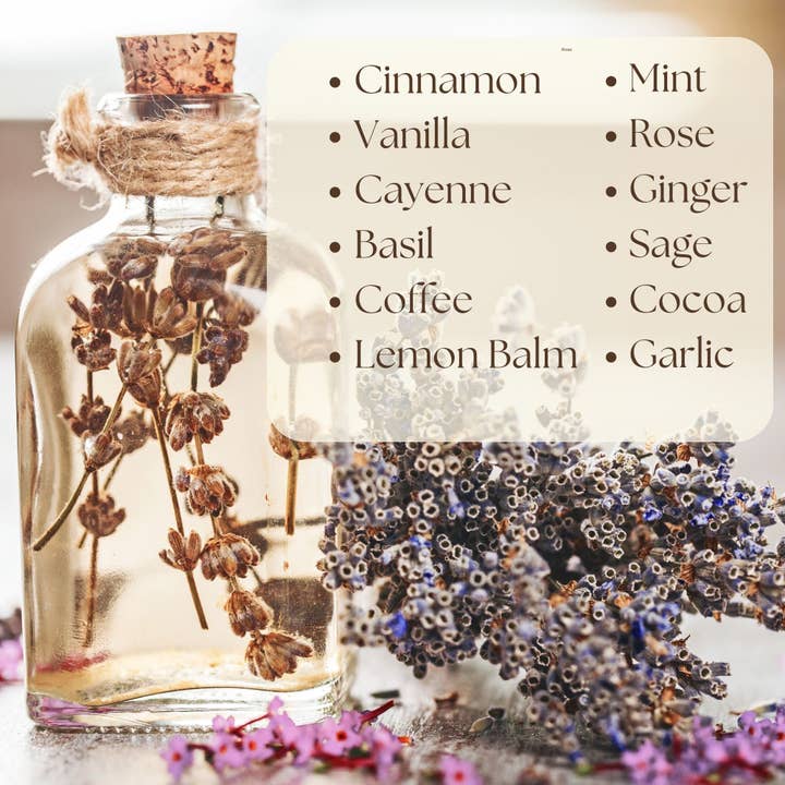 Calendar Magic Co. - Wholesale Calendar - KITCHEN WITCH 2026 Spell Calendar7