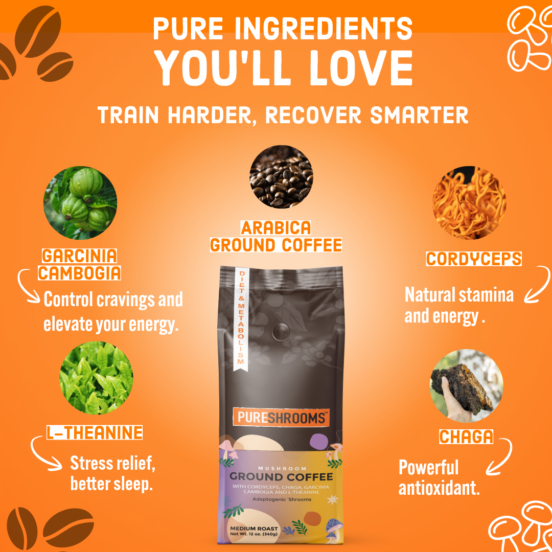 PureShrooms Inc. - Vente Café moulu - Café Moulu aux Champignons PureShrooms Energize 340g2