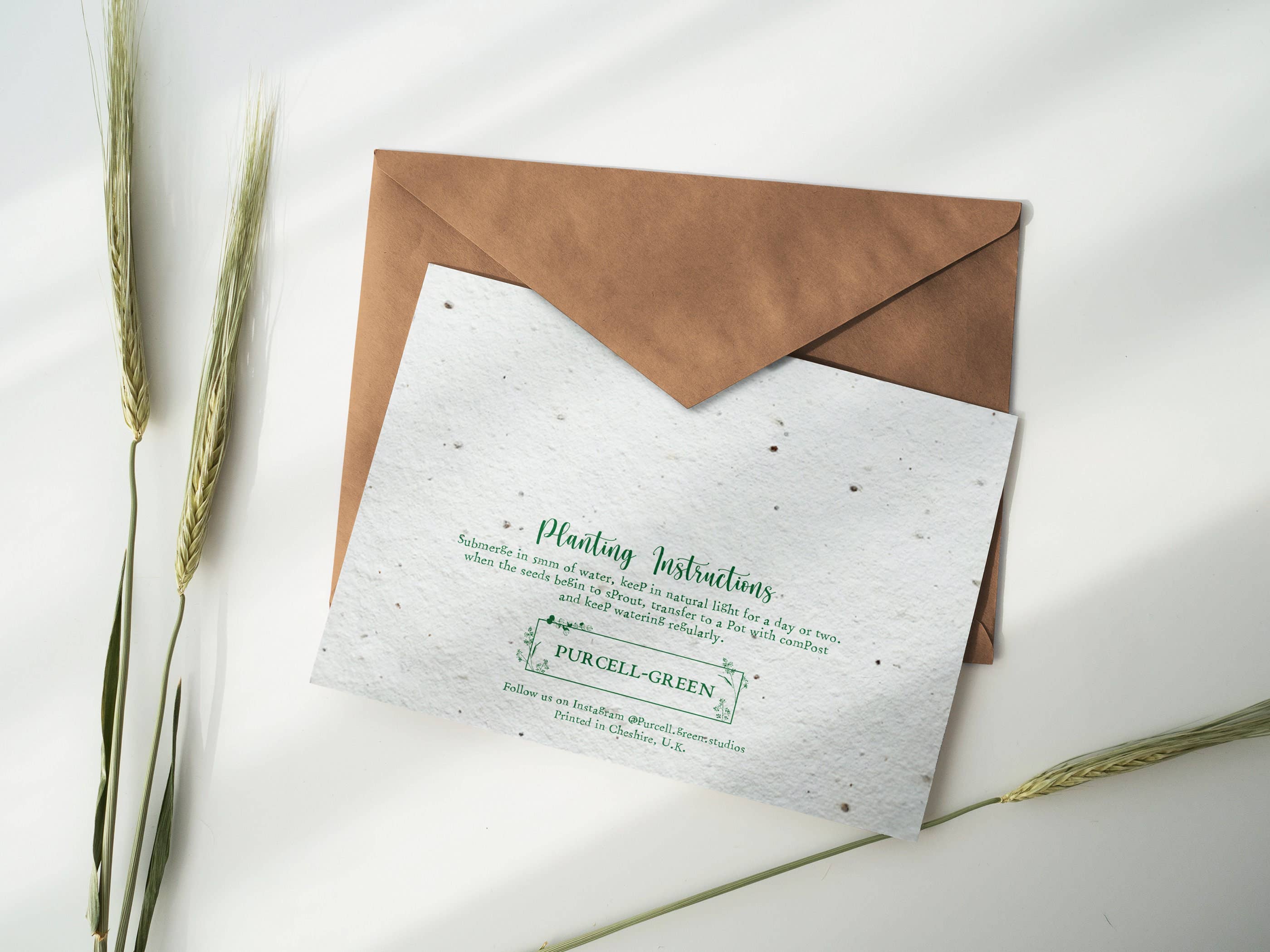 Purcell-Green Studios – wholesale Encouragement card – Encouragement Plantable Card1