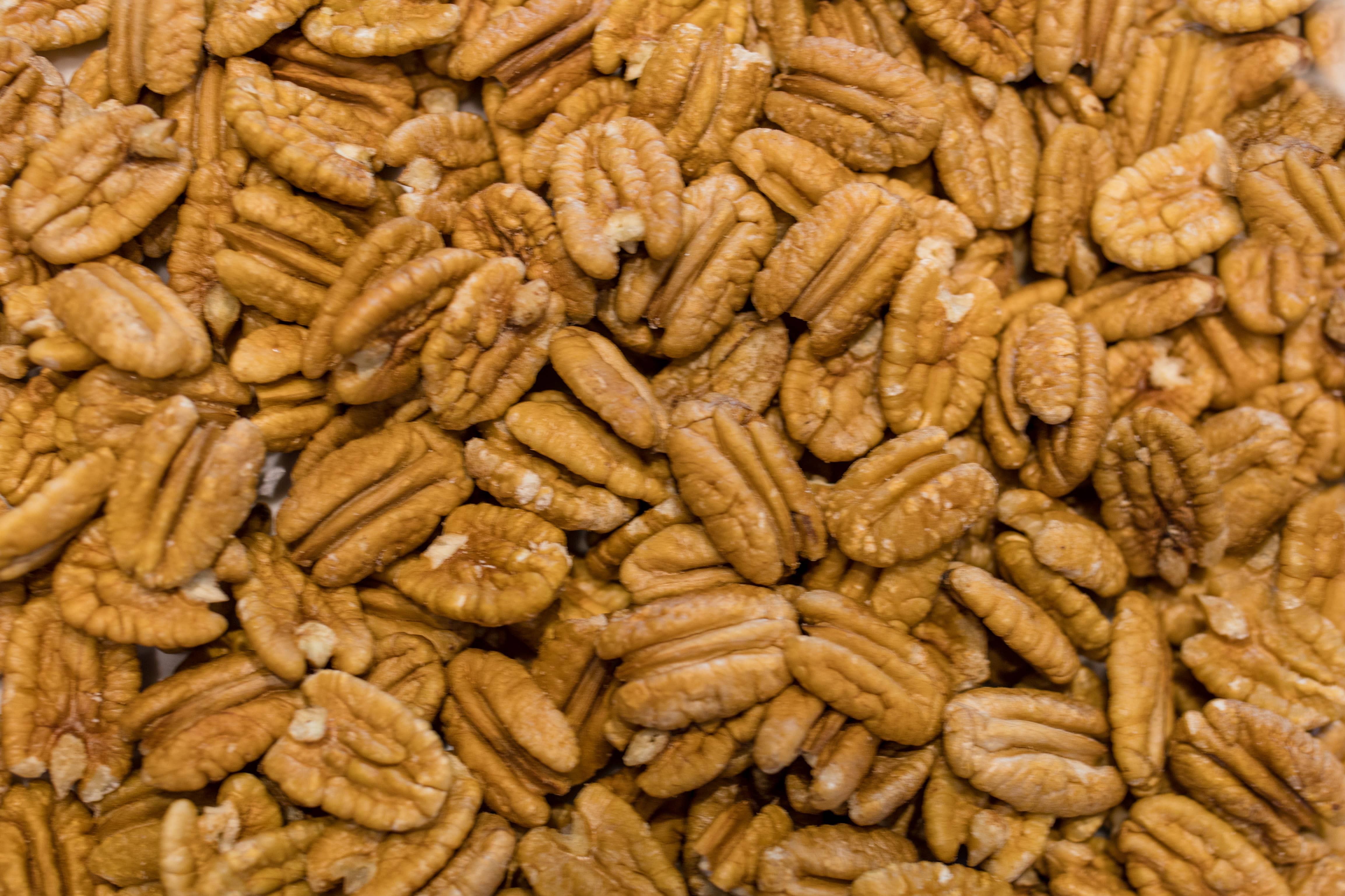 Oliver Pecan Co. – wholesale Nuts – Pecan Halves - 1 lb Zip Lock0
