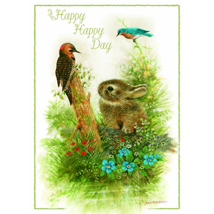 Crown Point Graphics - Vente Cartes d'anniversaire - Cartes d'anniversaire religieuses - Petite faune | 12 cartes2