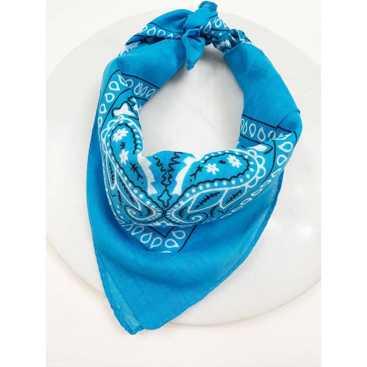 BLUE Pasley Pattern Bandanas for wholesale on Faire2