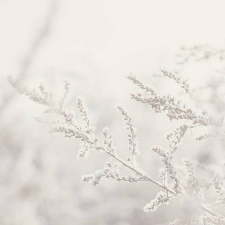 Retreat & Cleansing Set for wholesale by Kreutherkraft Manufaktur