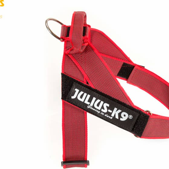 IDC REAMY RED for wholesale by K9 Shop