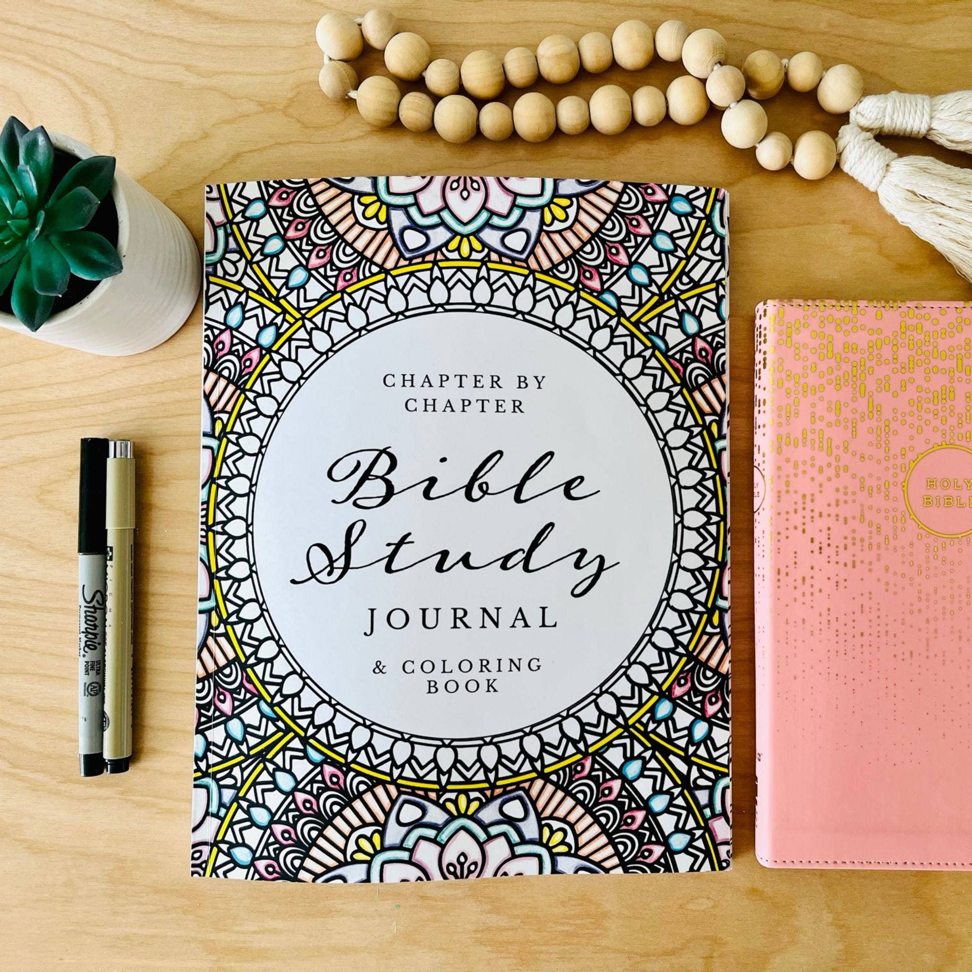 Scripture and Grace - Wholesale Journal/Diary - Chapter by Chapter Bible Study Journal and Coloring Book5