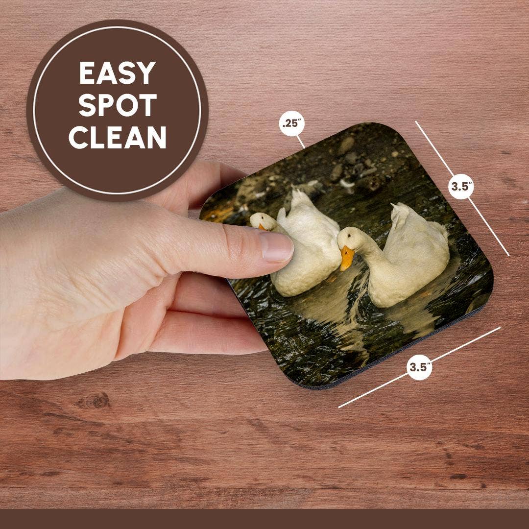 3dRose - Wholesale Coasters - 3dRose, Domestic free-range Pekin ducks swimming in a stream by their farm., Coaster13