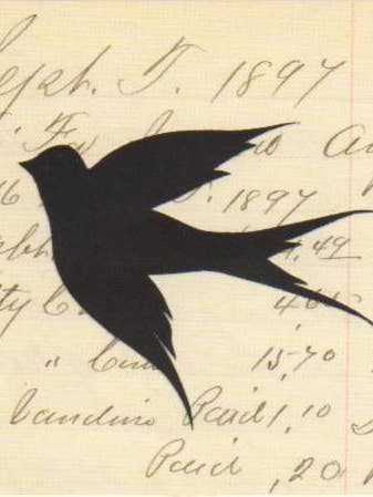 Schwalbe - Rote Bandverzierung für den Großhandel von Silhouettes and More