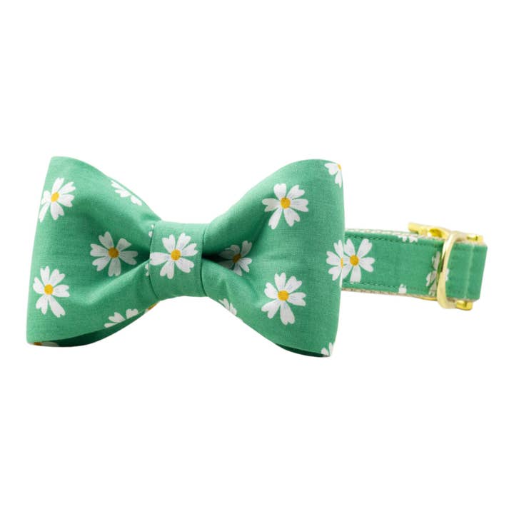 Coleira para cão com laço Daisy Meadow por atacado de Crew LaLa