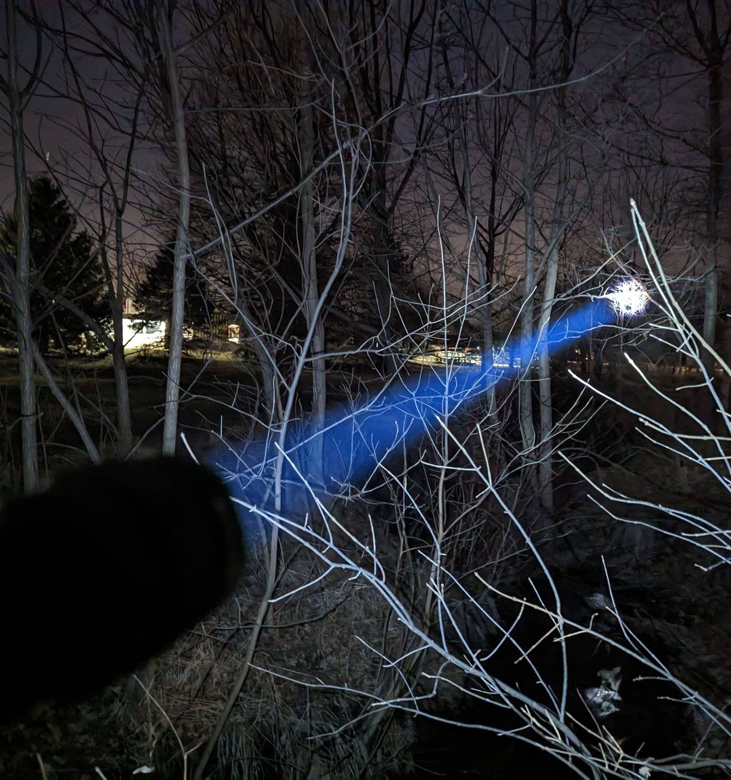 LitezAll - Wholesale Flashlight - Kodiak® Nearly 1 Mile Beam Tactical Flashlight33