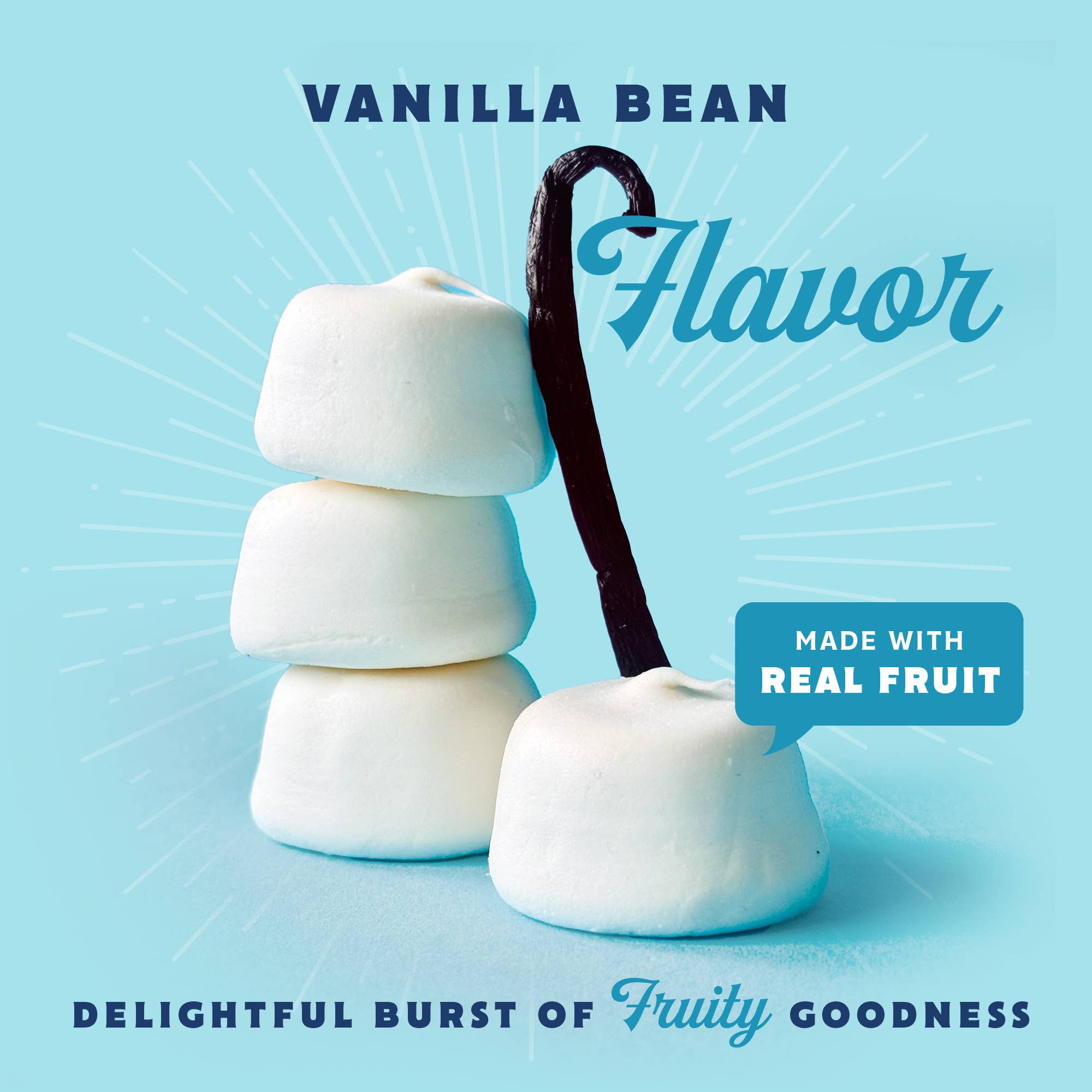 Snackatere - Wholesale Marshmallow - Vegan Vanilla Marshmallows Kosher Gluten Free Dairy Free3