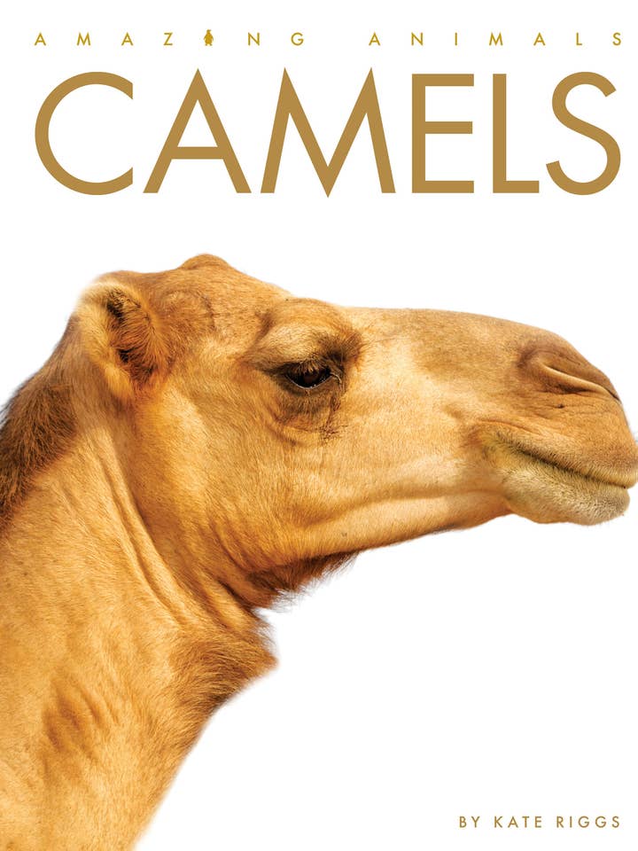 Amazing Animals - Nouvelle édition : Camels pour la vente par The Creative Company