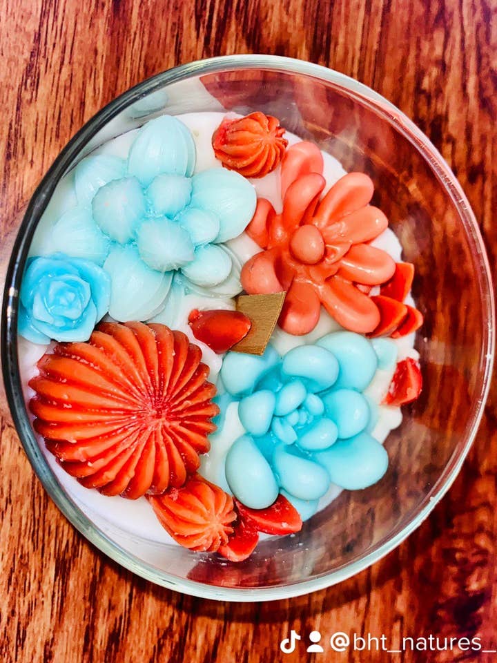 Bougie succulente pour la vente par BHT Natures Beauty