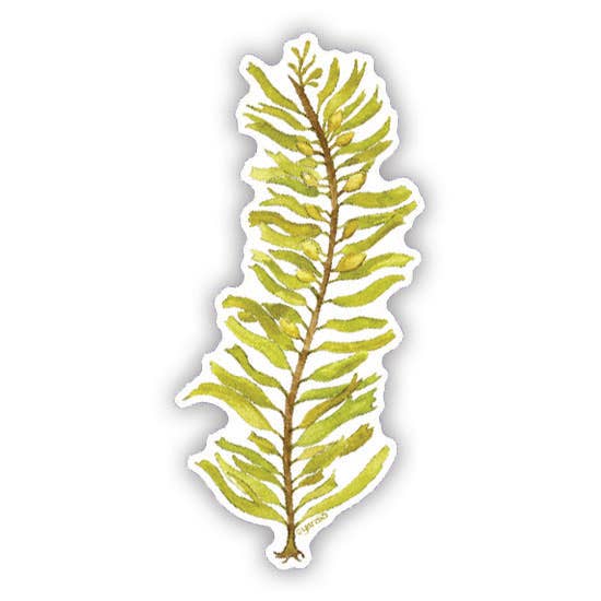 Yardia - Wholesale Sticker - Feather Boa Kelp Vinyl Sticker - Seaweed Sticker