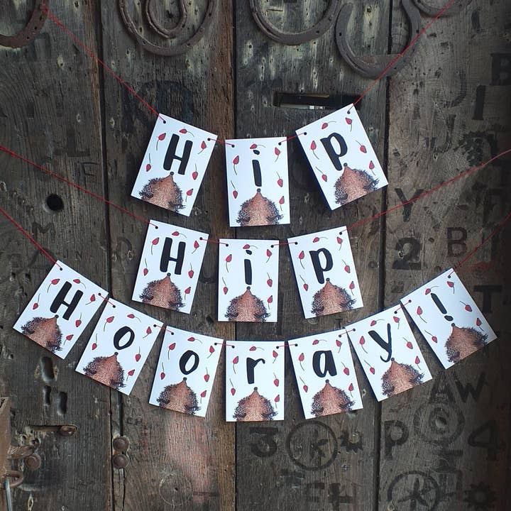 Hip Hip Hooray! Celebratory bunting for wholesale by Alice Draws The Line
