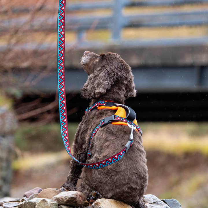 GO-CEE | Dog Lead | Zinnia for wholesale by NEERDOG | Dog Harnesses | Dog Leads | Dog Collars | Coats