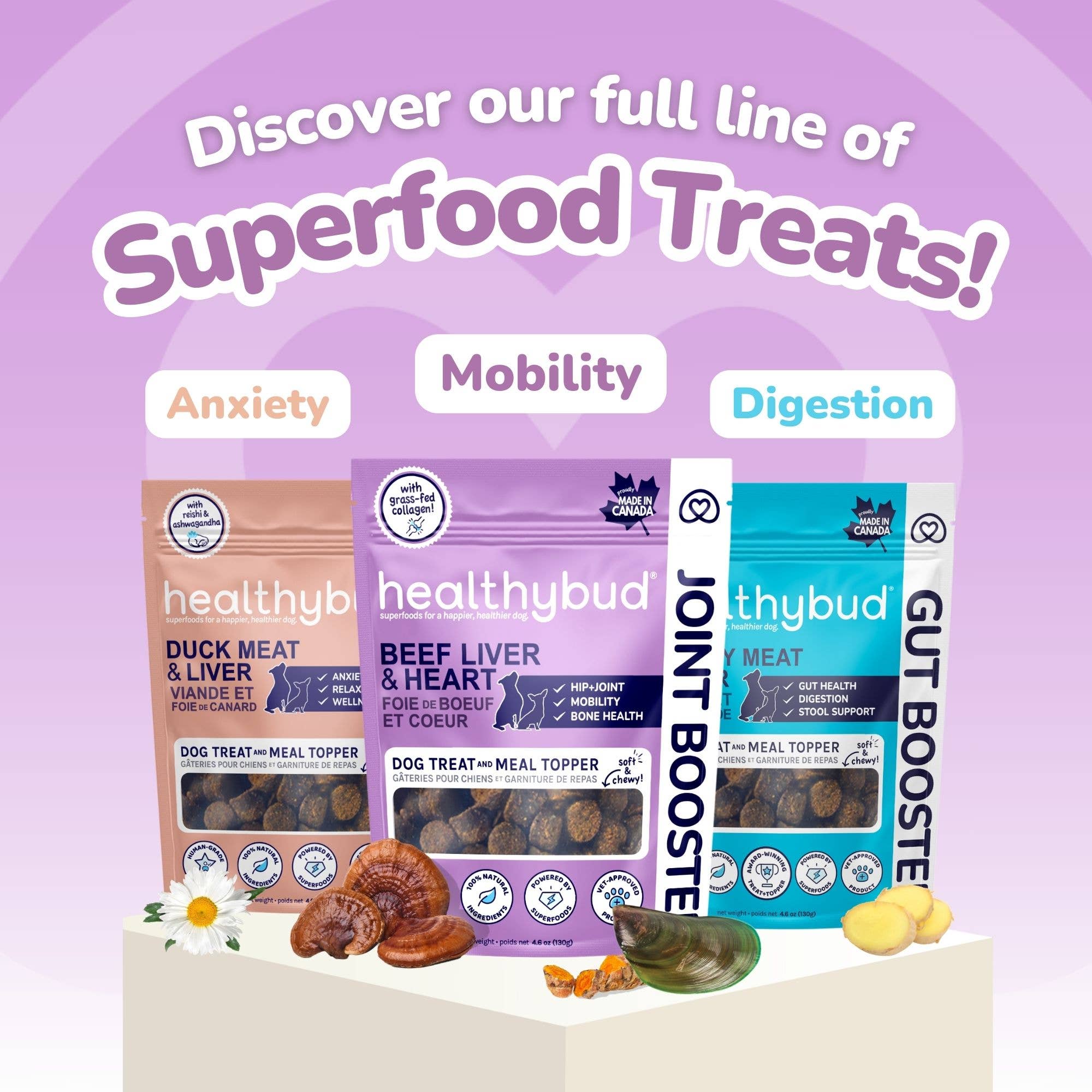 Healthybud - Wholesale Pet Treats - Dog - Healthybud's Functional Beef Joint Booster Dog Treats7