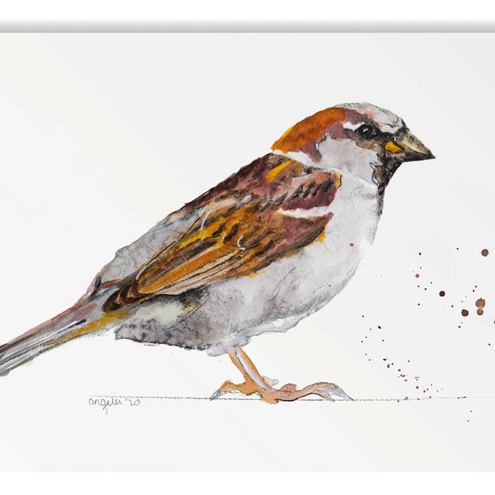 Studio Angelart - Wholesale Stationery/Notecard Set - Native Bird greeting cards set - 15 pieces6